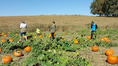 Wurth Farms