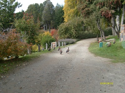 Photos of Bariloche Valle Escondido
