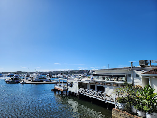 Rose Bay Marina - Thumbnail