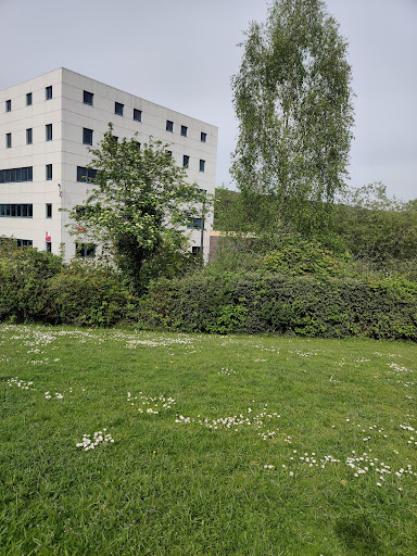 University of South Wales Sports Centre - Thumbnail