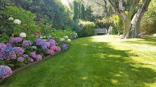 Photo n°18 de Appolo Jardins à Grasse (Jardinier)