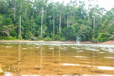 Photos of Ellakanda Aranya Senasanaya
