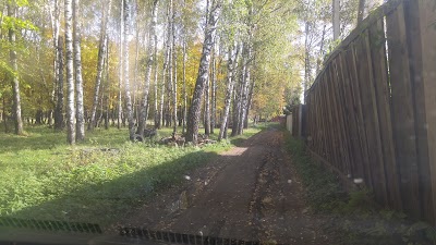 Photos of Noginsk Electroset
