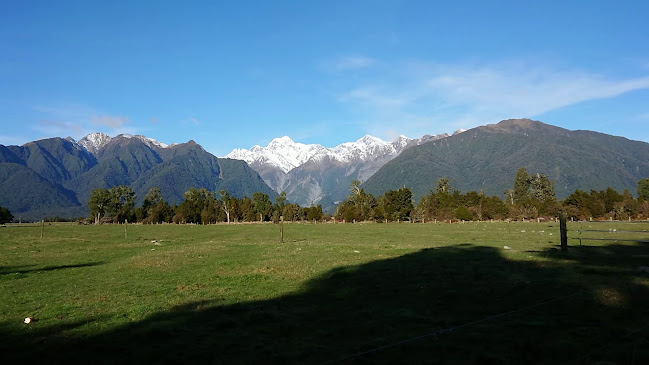 Reviews of Lake Matheson Walk in Greymouth - Other
