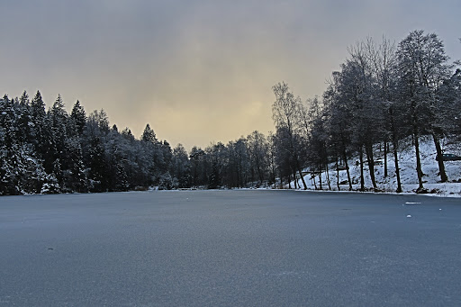 Uddevalla Skidklubb - Thumbnail