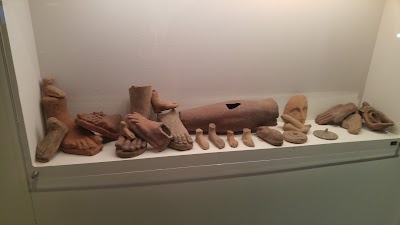Photos of Museum of Medical History