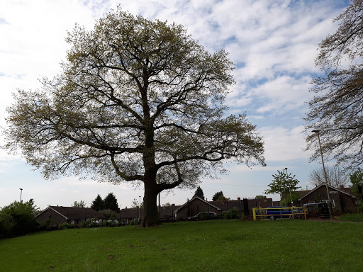 Stokeswood Park - Thumbnail