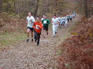 Photo n°10 de Centre de Formation d'Apprentis Agricole Départemental du Loiret à Bellegarde (Établissement d'enseignement professionnel)