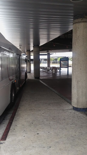 StarMetro - Visual