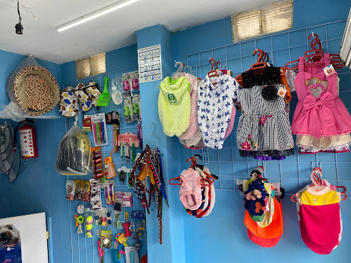 Clínica veterinaria Healthy Pet City