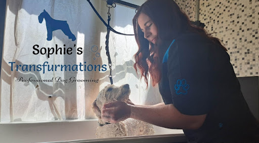 Sophie's Transfurmations