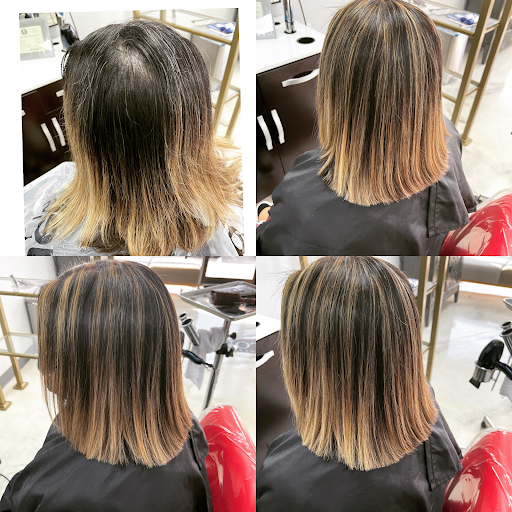Salon Styles 809 - Visual