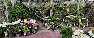 Photo n°4 de Villaverde Rocchietta Jardinerie Animalerie Le Beausset à Le Beausset (Pépinière)
