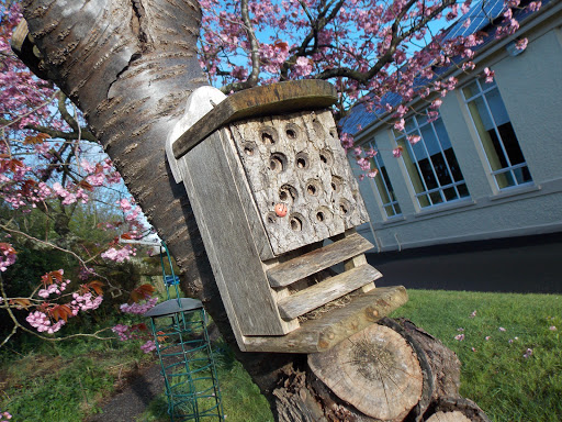 Killylea Primary School - Thumbnail
