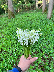 Photo n°38 de Gilliane Clouet Fleuriste à Gambais (Décorateur.rice floral.e)