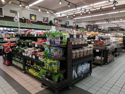 Foodland - Toronto, Danforth - Thumbnail