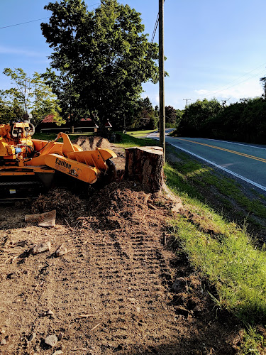 McGrath Stump Removal