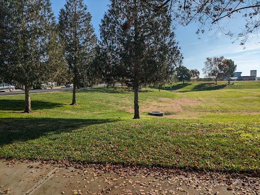 Singh Park - Thumbnail
