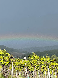 Photo n°11 de La Maison Culier à Lendou-en-Quercy (Chambre d'hôtes)
