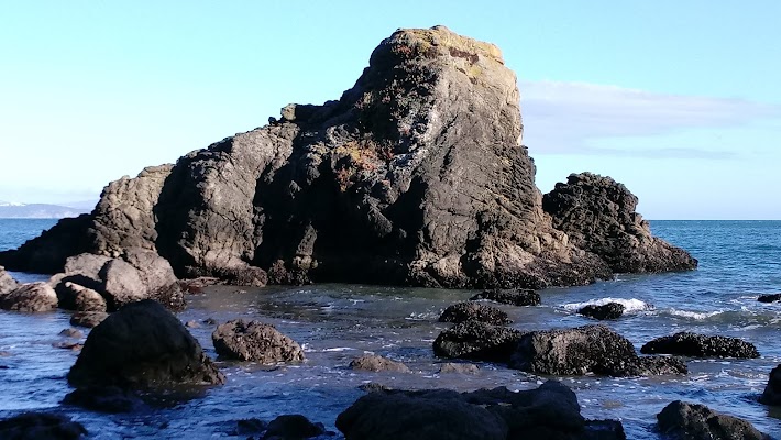 Muir Beach - Image 3