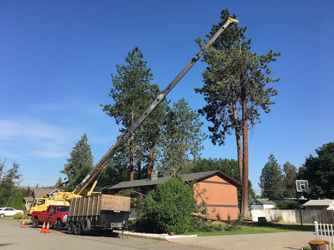 Blake's Tree Service LLC