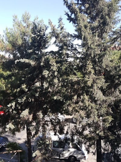 Photos of Fatih Sultn Mehmet Parkı