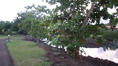 Photos of Grenadian by Rex Resorts