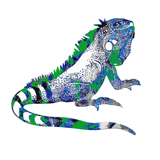 Iguana Vacation Rentals