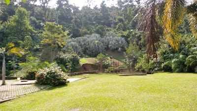 Photos of Sarius Palmetum