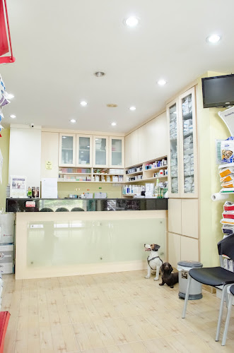 Opinii despre Mount Pleasant Veterinary Group (Clementi) în Singapore - Veterinarian