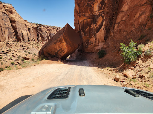 Jenn's Jeep Rentals - Thumbnail