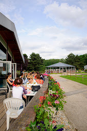 Photo n°17 de CENTRE EQUESTRE DEPT G VALBON UCPA LA COURNEUVE à La Courneuve (Centre équestre)
