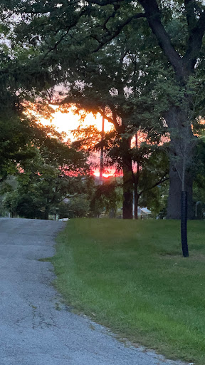 Woodlawn Cemetery: West - Thumbnail