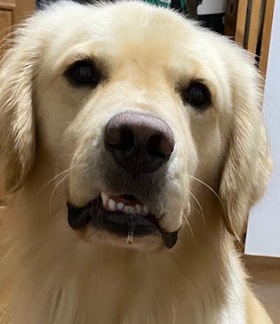 有限会社 大庭自動車