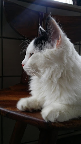 Boundary House Business Centre, Boston Rd, London W7 2QE, United Kingdom