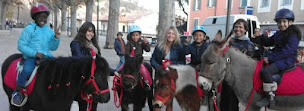 Photo n°22 de Les Poneys de la Petite Famille à Villeneuve (Centre équestre)
