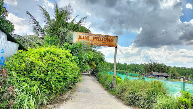 Bến Phà Kim Phương, Hoà Minh, Châu Thành, Trà Vinh