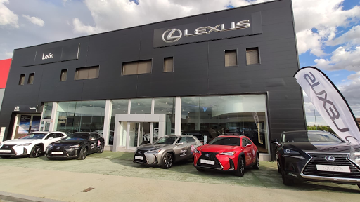 LEXUS - Visual
