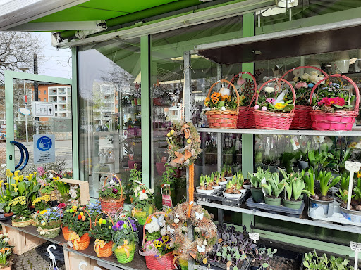 Ihre Blumeninsel - Thumbnail