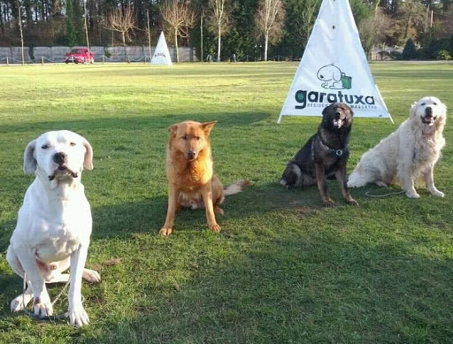 Hotel para perros Residencia Garatuxa
