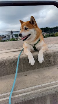 今寺1丁目運動広場