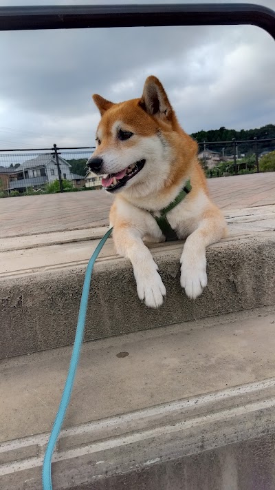 今寺1丁目運動広場