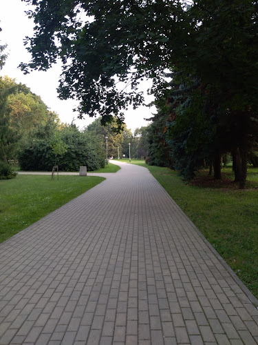 Street Workout Park - Rzeszów