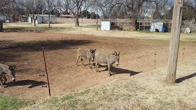 Hillcrest Park Zoo