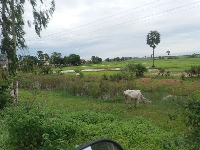 Photos of Rey Homeland
