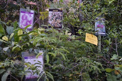 Photos of Naturaleza Supermercado De Plantas