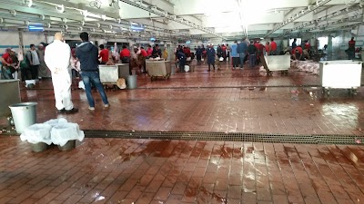 Photos of Jahra slaughterhouse