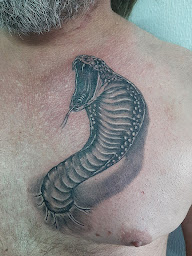 Photo n°1 de Skoll Tattoo Studio à Laroque-des-Albères (Tatoueur)