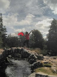 Photo n°4 de Viet Tai Chi St Jean des Mauvrets à Les Garennes sur Loire (Club d'arts martiaux)