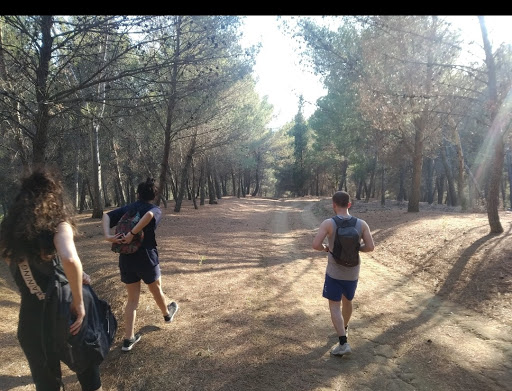 Bosco Bottazze
